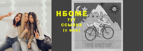 прущие грибы Армянск