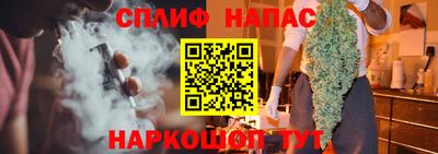 мдпв Можга