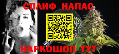 мдпв Можга
