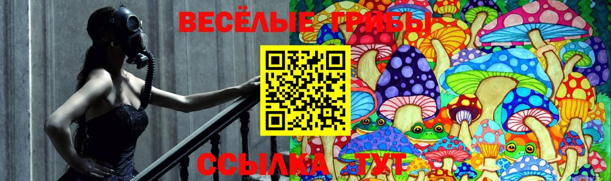 закладка  Псилоцибиновые грибы Psilocybine cubensis  Вход с VPN  Прохладный  Псилоцибиновые грибы Psilocybe 