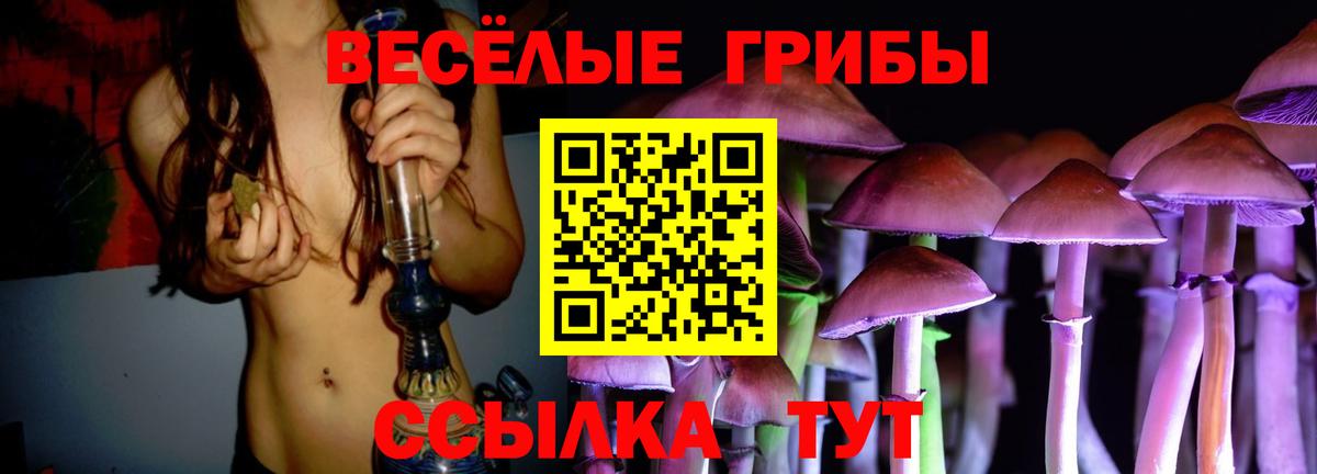 Галлюциногенные грибы Cubensis Прохладный