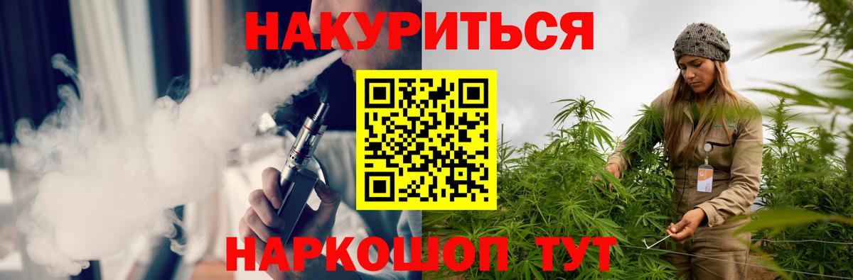 Прохладный  Бошки Шишки гибрид  Шишки марихуана Bruce Banner  Вход с VPN  Марихуана MAZAR  Шишки марихуана семена 